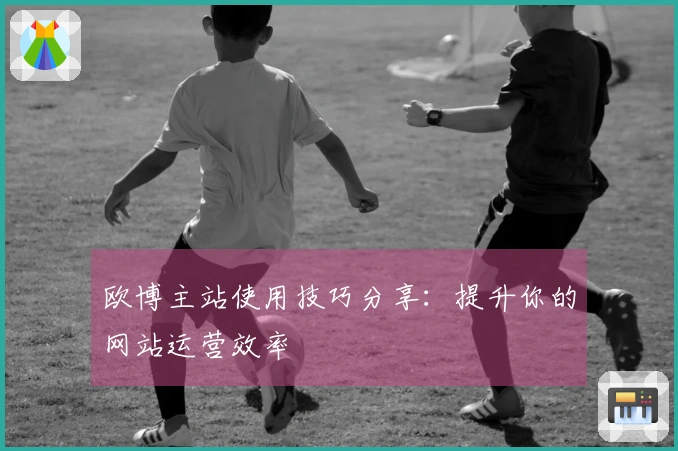 欧博主站使用技巧分享：提升你的网站运营效率