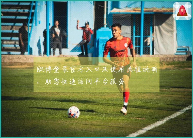 欧博登录官方入口及使用流程说明，助您快速访问平台服务