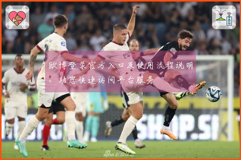 欧博登录官方入口及使用流程说明，助您快速访问平台服务