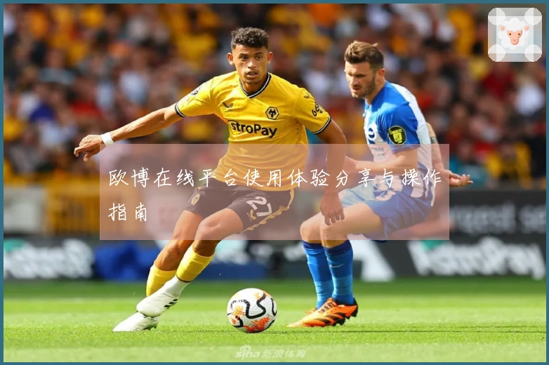 欧博在线平台使用体验分享与操作指南